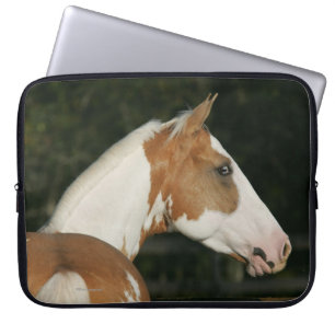 Paint Horse Headshot 2 Laptop Sleeve