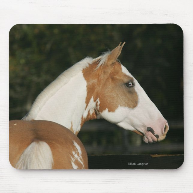 Paint Horse Headshot 2 Mouse Pad (Front)