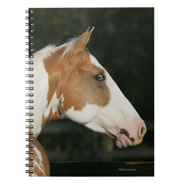 Paint Horse Headshot 2 Notebook (Front)