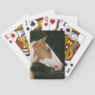 Paint Horse Headshot 2 Playing Cards