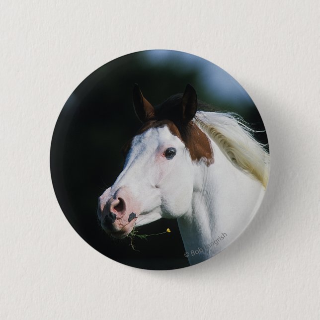 Paint Horse Headshot 3 2 Inch Round Button (Front)