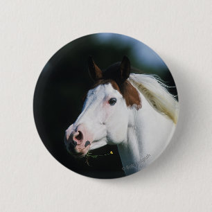 Paint Horse Headshot 3 2 Inch Round Button