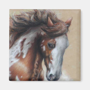 Paint horse in desert magnet