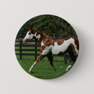 Paint Horse Running 1 2 Inch Round Button