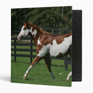 Paint Horse Running 1 Binder