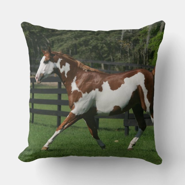 Paint Horse Running 1 Throw Pillow (Front)
