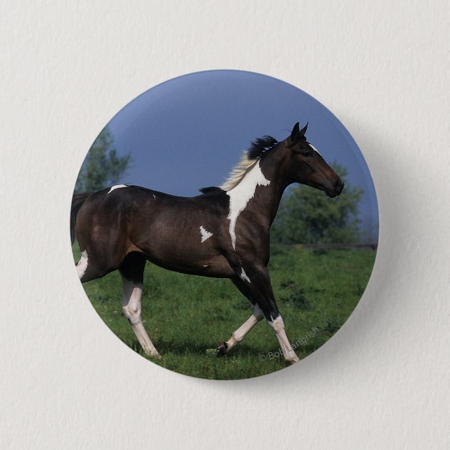 Paint Horse Running 2 2 Inch Round Button (Front)