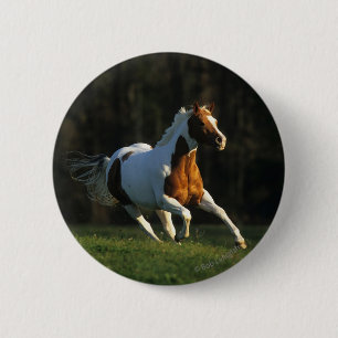 Paint Horse Running Fast 2 Inch Round Button