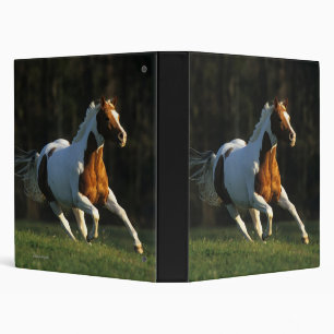 Paint Horse Running Fast Binder