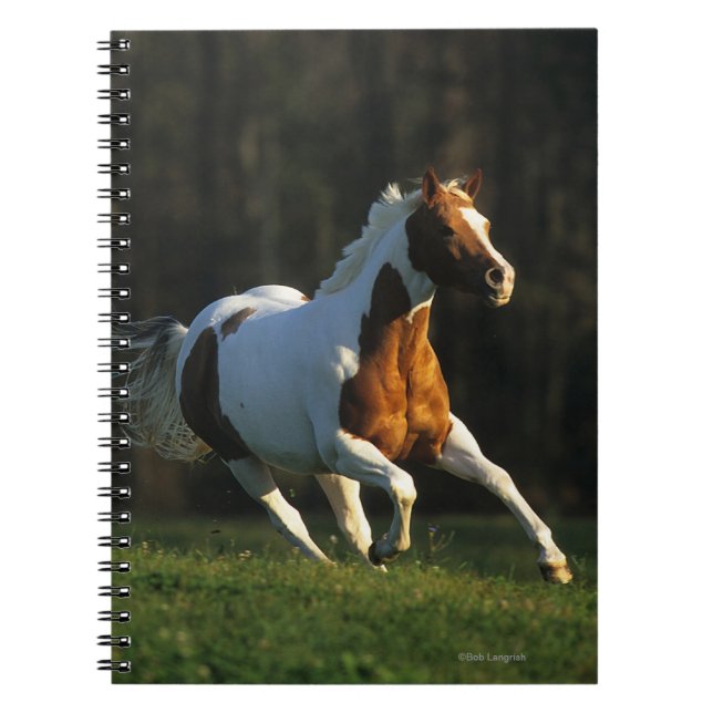 Paint Horse Running Fast Notebook (Front)
