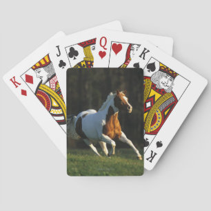 Paint Horse Running Fast Playing Cards