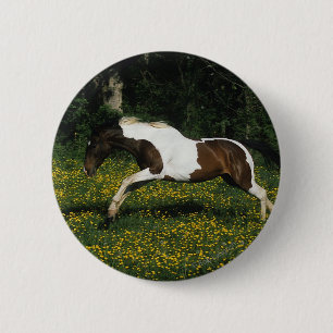 Paint Horse Running in Field of Flowers 2 Inch Round Button