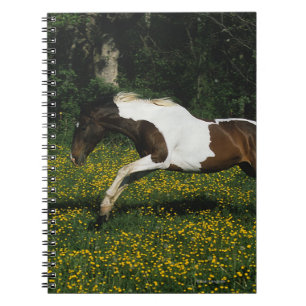 Paint Horse Running in Field of Flowers Notebook