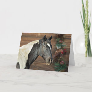 Paint Horse Seasons Greetings Card