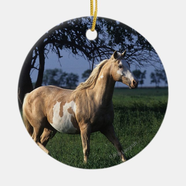Paint Horse Standing 2 Ceramic Ornament (Front)