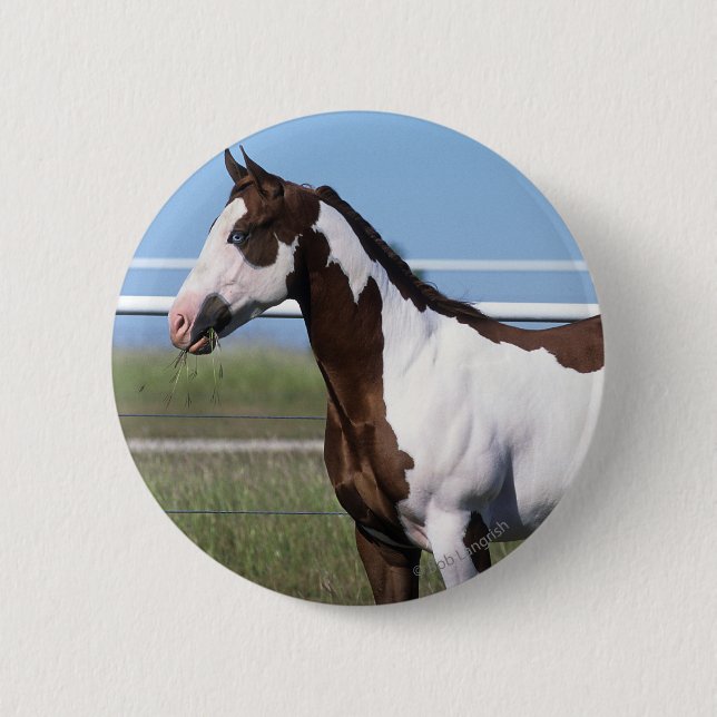 Paint Horse Standing 2 Inch Round Button (Front)