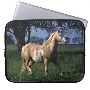 Paint Horse Standing 2 Laptop Sleeve