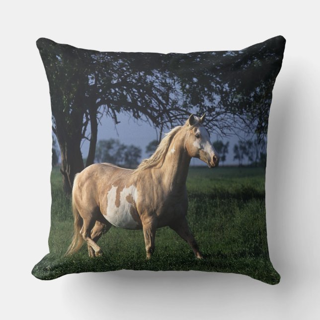 Paint Horse Standing 2 Throw Pillow (Front)