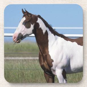 Paint Horse Standing Coaster