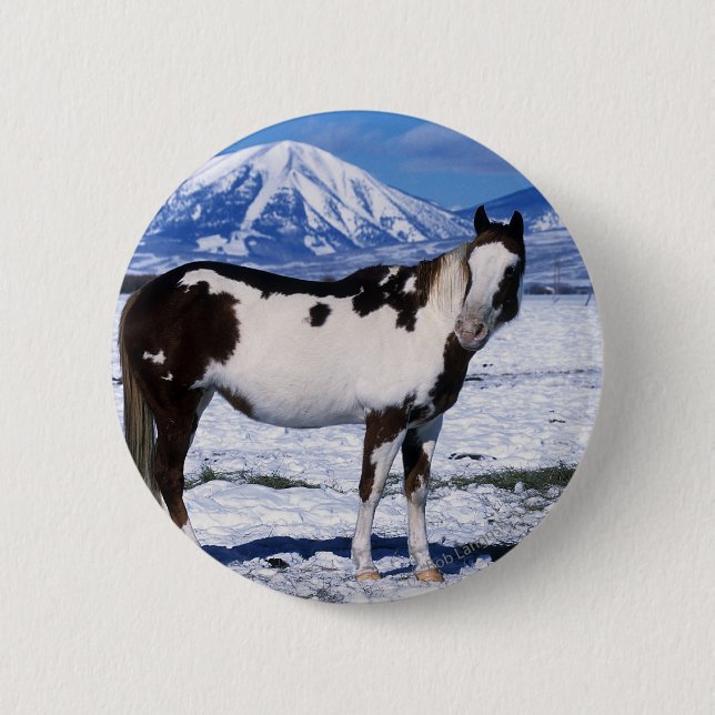 Paint Horse Standing in the Snow 2 Inch Round Button (Front)