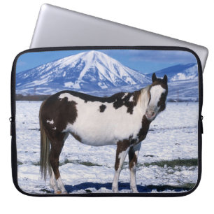 Paint Horse Standing in the Snow Laptop Sleeve