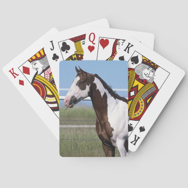 Paint Horse Standing Playing Cards (Back)