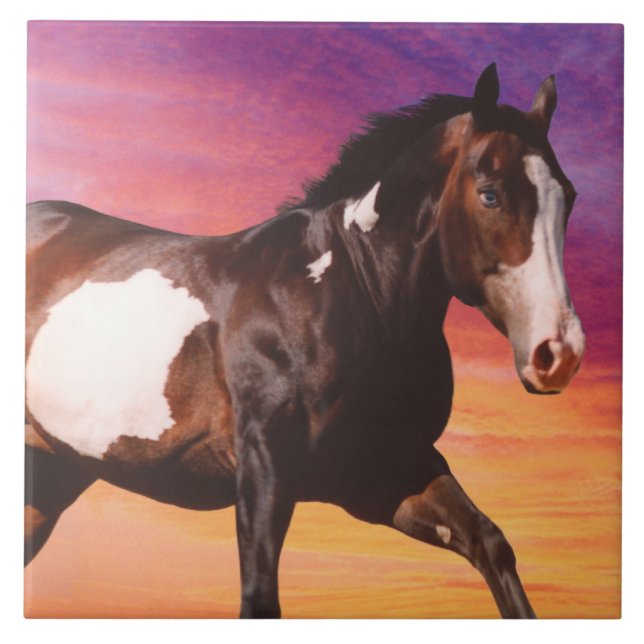 Paint Horse Sunrise Tile (Front)