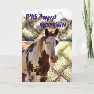 Paint Horse Sympathy card
