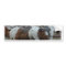 Paint Horse Tail