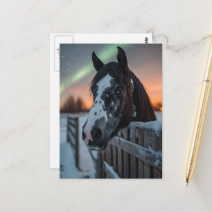 Paint Horse Winter Northern Lights Postcard