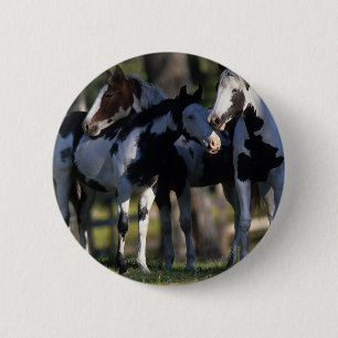 Paint Horses 2 Inch Round Button