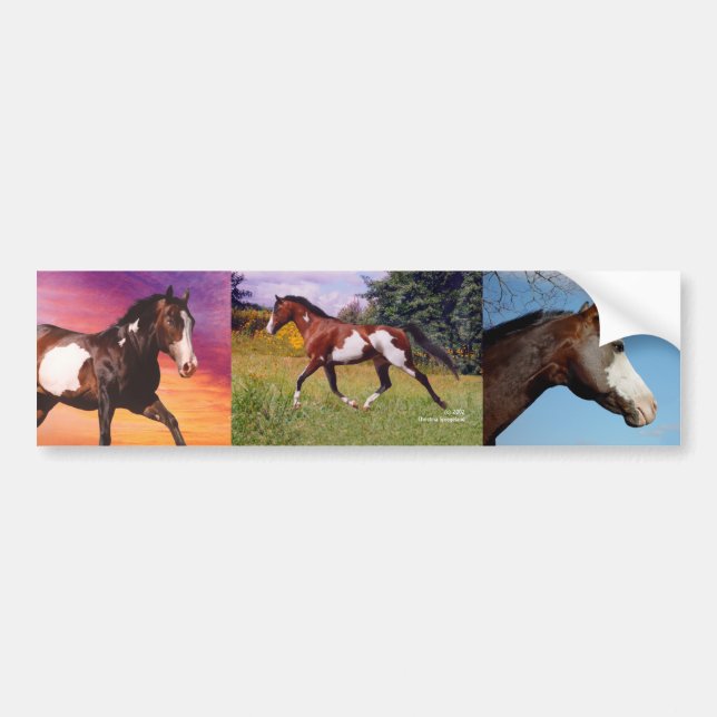 Paint Horses collage Bumper sticker (Front)