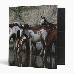 Paint Horses Drinking Binder