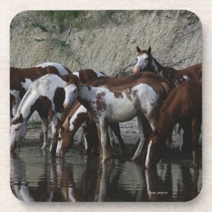 Paint Horses Drinking Coaster