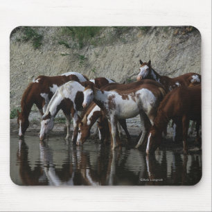 Paint Horses Drinking Mouse Pad