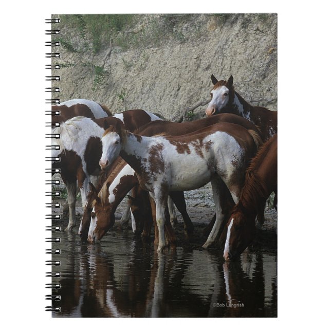 Paint Horses Drinking Notebook (Front)