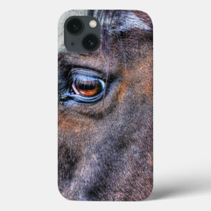 Paint Horse's Eye Equine Photo for Horse-lovers iPhone 13 Case