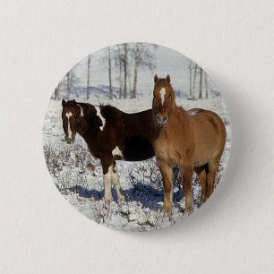 Paint Horses in the Snow 2 Inch Round Button