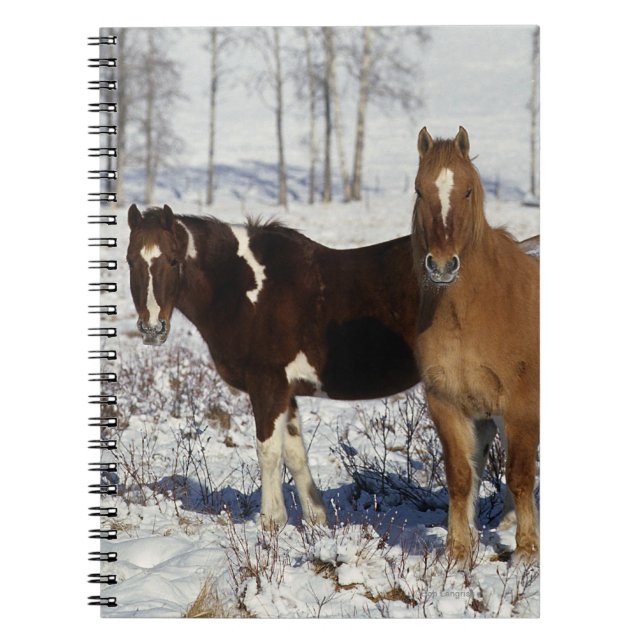 Paint Horses in the Snow Notebook (Front)
