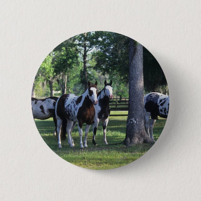 Paint Horses in the Trees 2 Inch Round Button (Front)