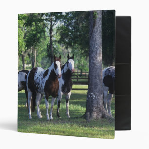 Paint Horses in the Trees Binder