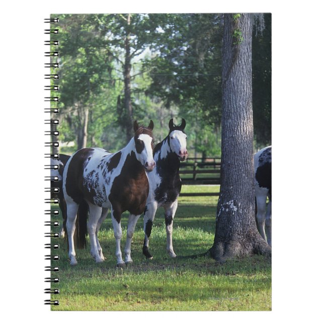 Paint Horses in the Trees Notebook (Front)