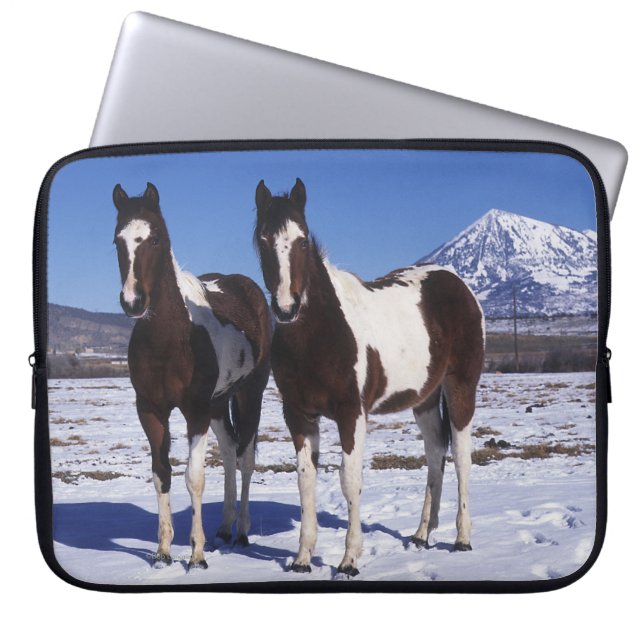 Paint Horses Standing in the Snow Laptop Sleeve (Front)