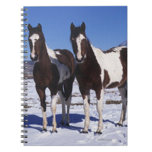 Paint Horses Standing in the Snow Notebook