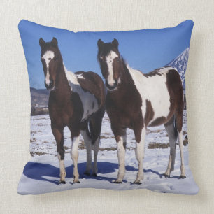Paint Horses Standing in the Snow Throw Pillow