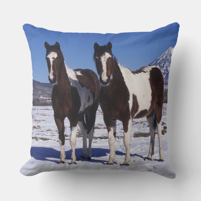Paint Horses Standing in the Snow Throw Pillow (Front)