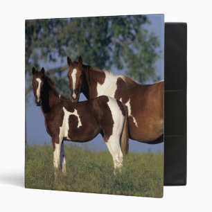 Paint Mare & Foal Binder