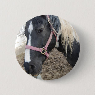Paint Pinto Horse 2 Inch Round Button