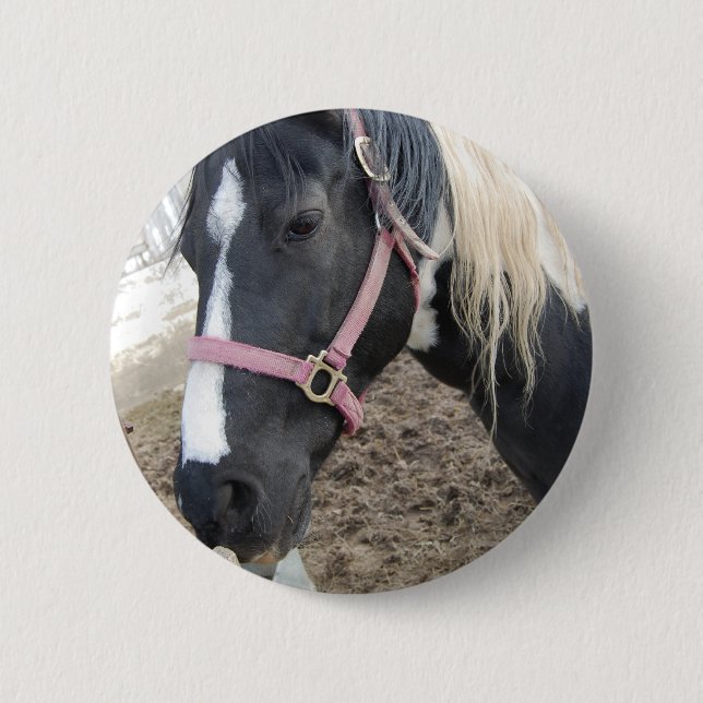 Paint Pinto Horse 2 Inch Round Button (Front)