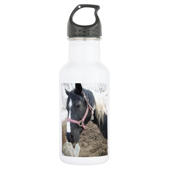 Paint Pinto Horse 532 Ml Water Bottle (Front)